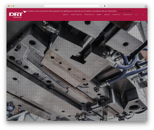 Portfolio_builder WordPress plugin - drtmoldes.com