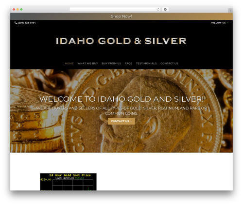 Theme WordPress Beacon Theme - igands.com