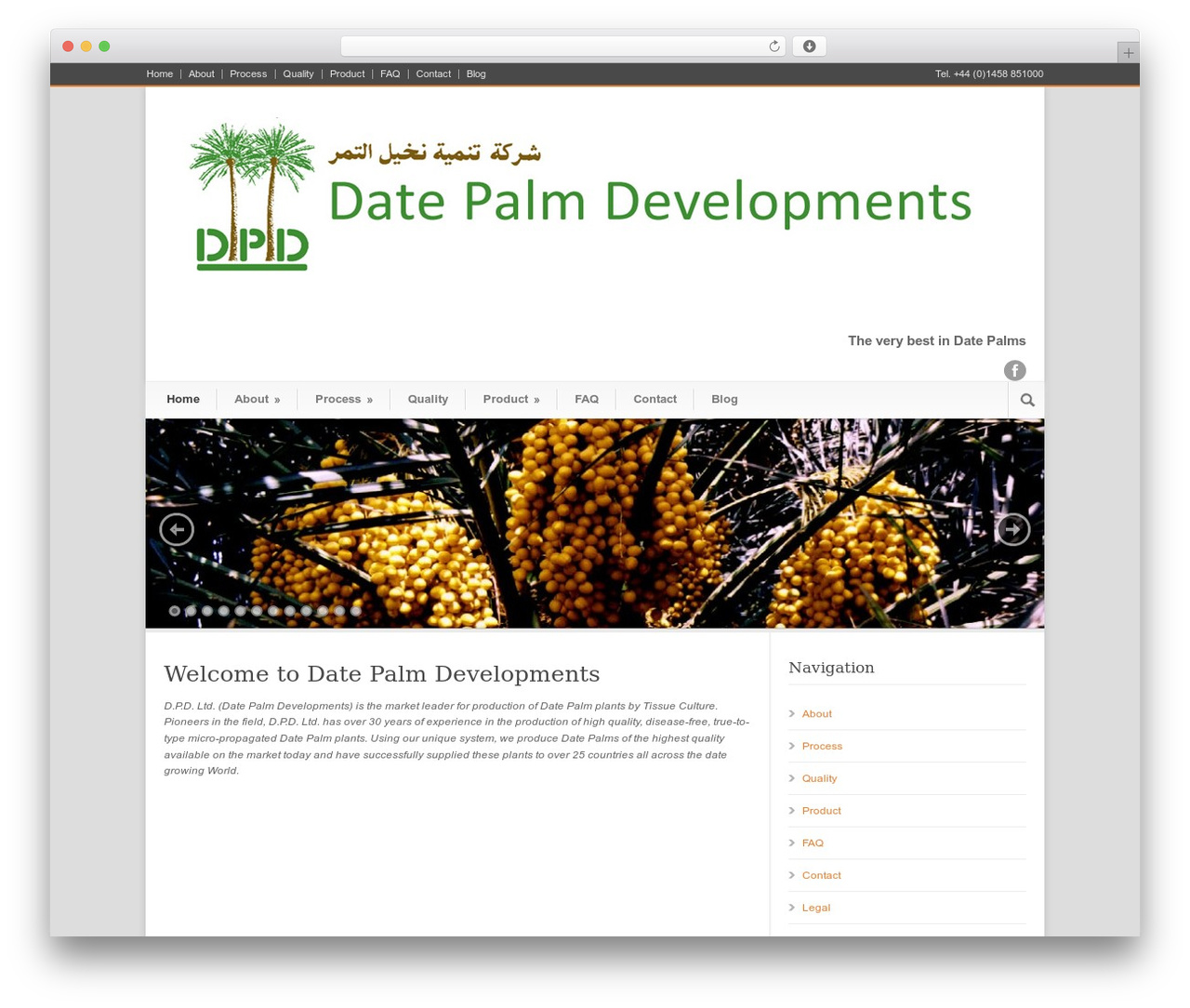 Theme WordPress Modernize - date-palm.co.uk Theme WordPress Modernize - date-palm.co.uk