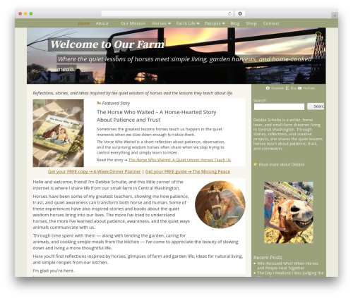 Embed and Integrate Etsy Shop (embed-and-integrate-etsy-shop) free WordPress plugin - debbieschulte.com