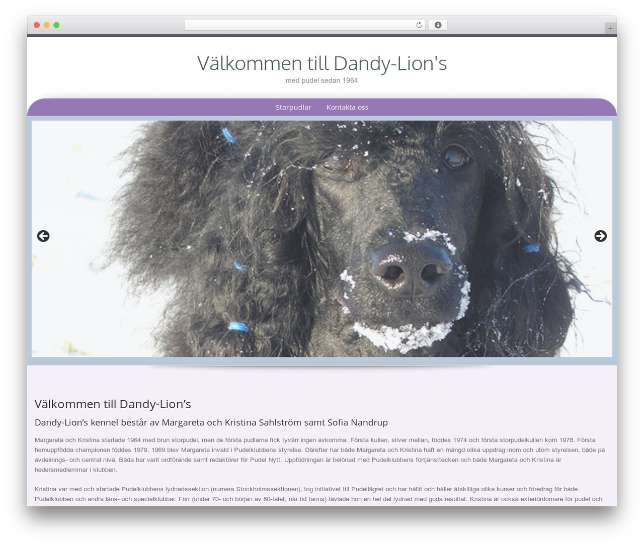 WordPress theme Preference Lite - dandy-lions.se WordPress theme Preference Lite - dandy-lions.se