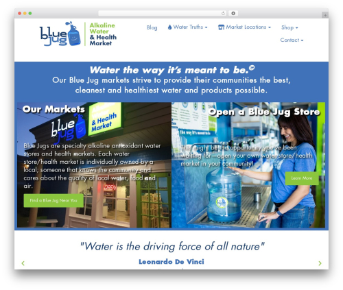 Whols pro WordPress plugin - bluejug.com