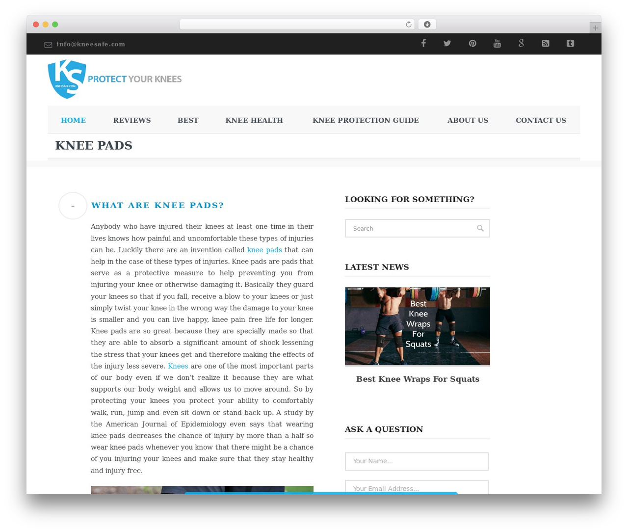 Papillon theme WordPress - kneesafe.com Papillon theme WordPress - kneesafe.com