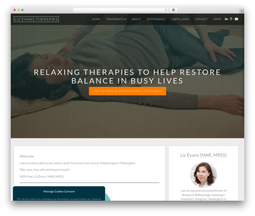 Theme WordPress Ember - lizevanstherapies.co.uk