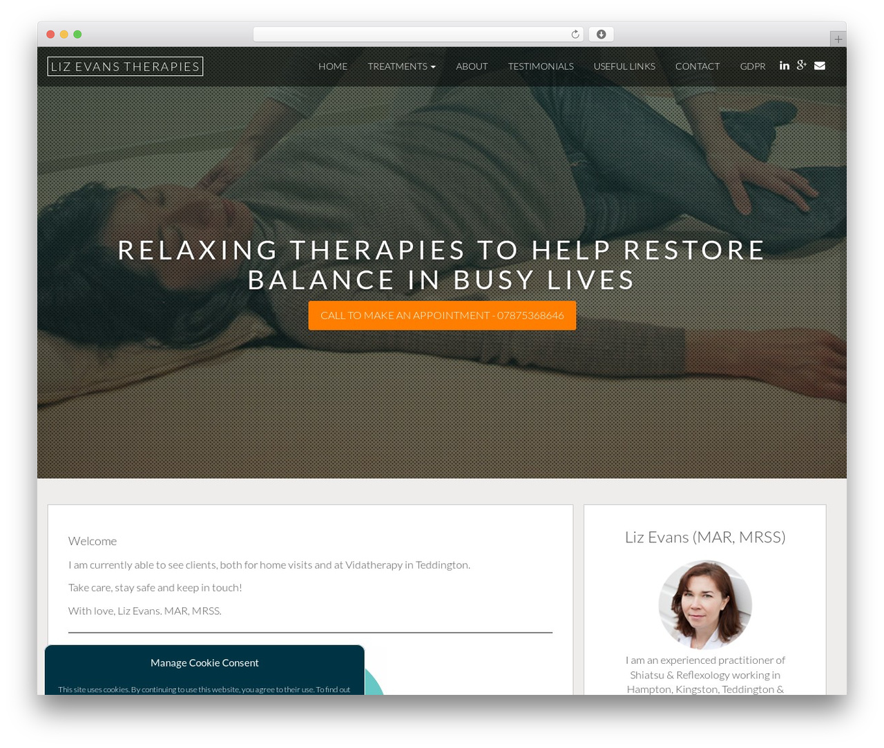 Theme WordPress Ember - lizevanstherapies.co.uk