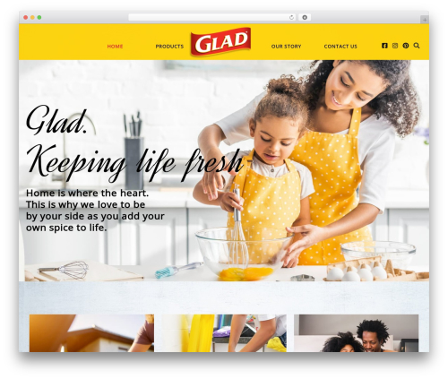 Clorox security WordPress plugin - glad.co.za