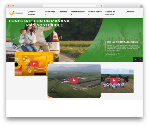 Revslider6620n WordPress plugin - ingeniomayaguez.com