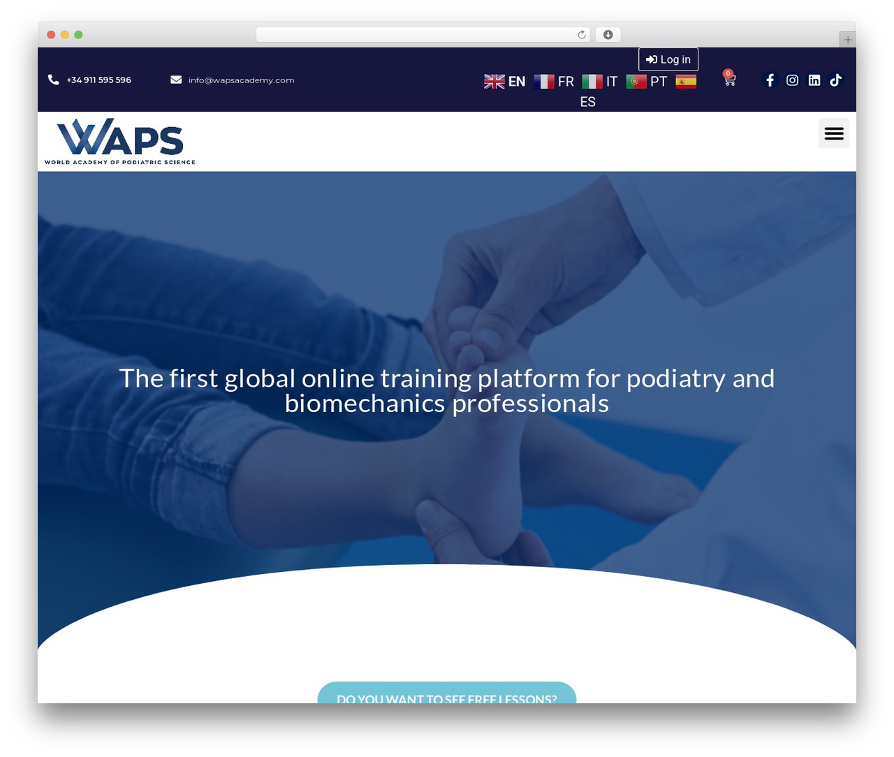 Hello Elementor WordPress theme design - wapsacademy.com Hello Elementor WordPress theme design - wapsacademy.com