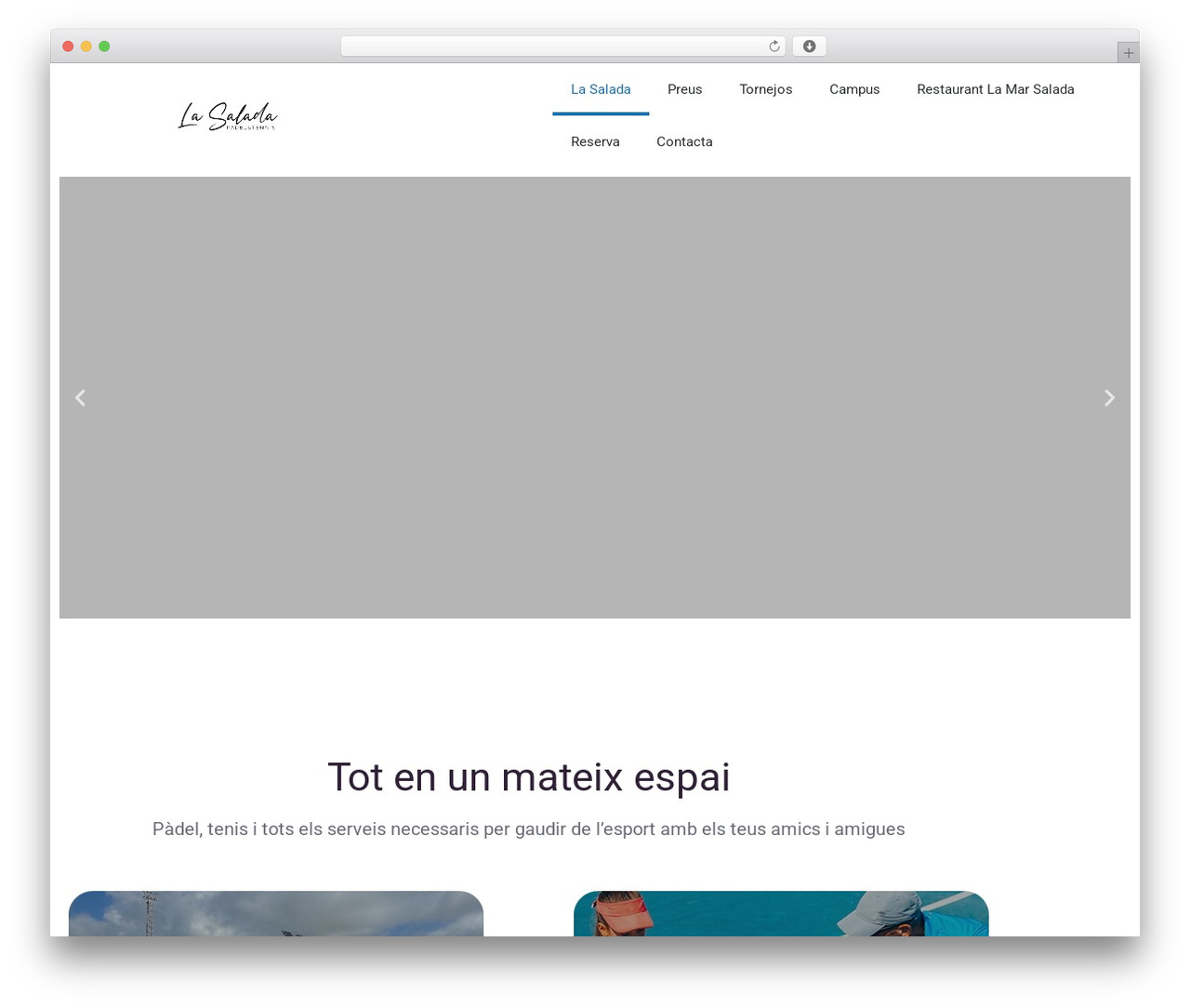 WordPress theme Atomic Blocks - lasalada.cat