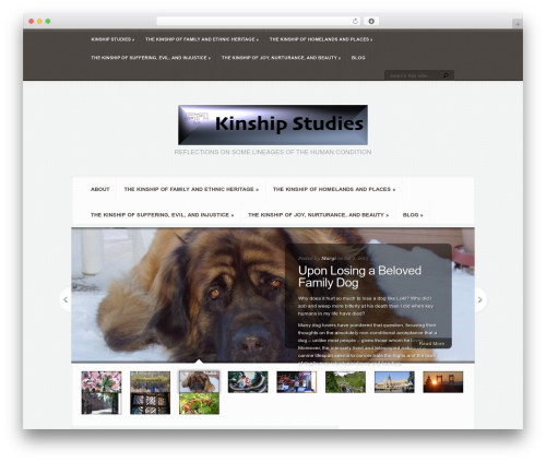 Author Recommended Posts (author-recommended-posts) free WordPress plugin - kinshipstudies.com Author Recommended Posts (author-recommended-posts) free WordPress plugin - kinshipstudies.com