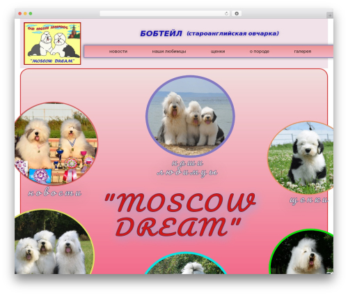 WP Post and Blog Designer (wp-post-and-blog-designer) free WordPress plugin - moscow-dream.ru WP Post and Blog Designer (wp-post-and-blog-designer) free WordPress plugin - moscow-dream.ru