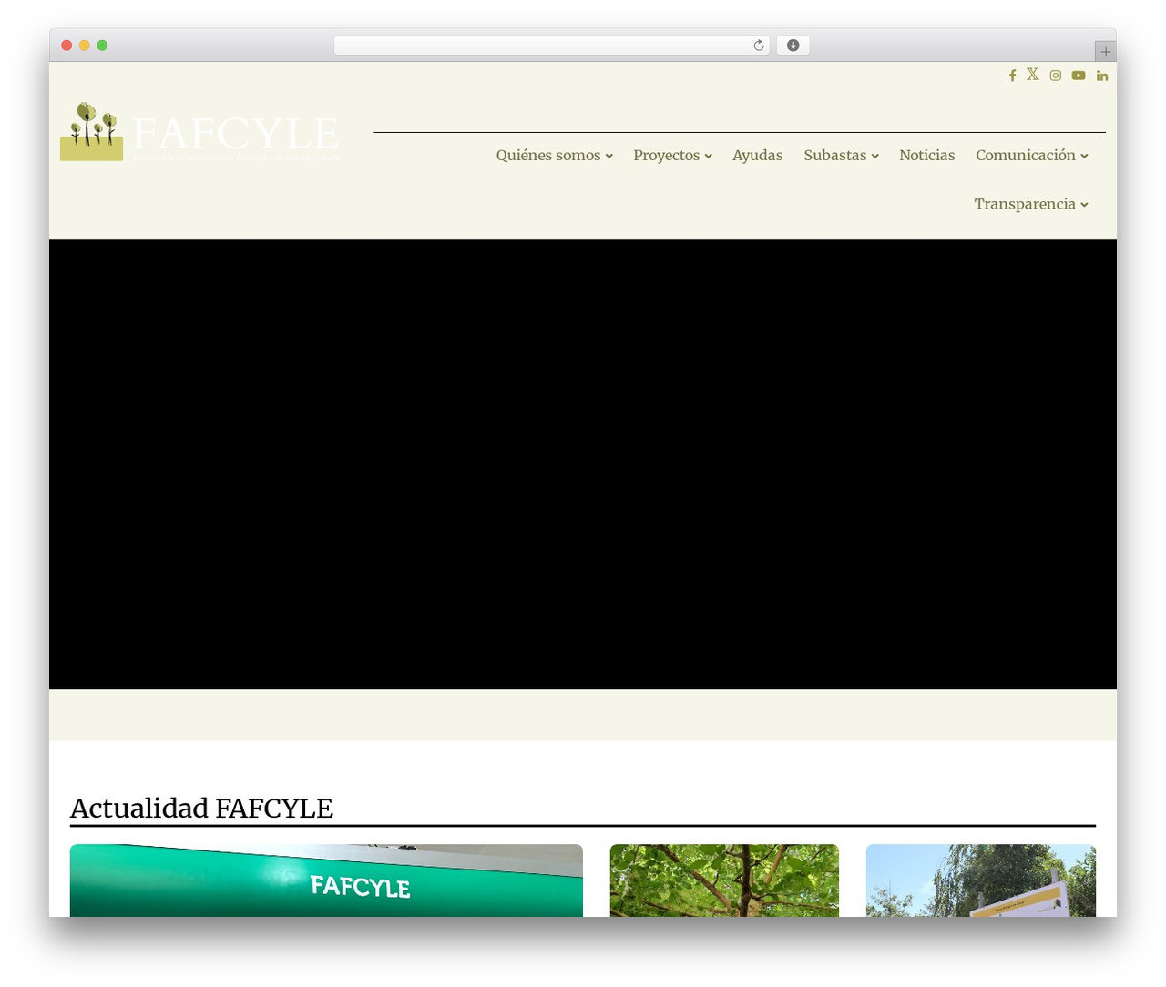 Atomic Blocks WordPress theme - fafcyle.es Atomic Blocks WordPress theme - fafcyle.es