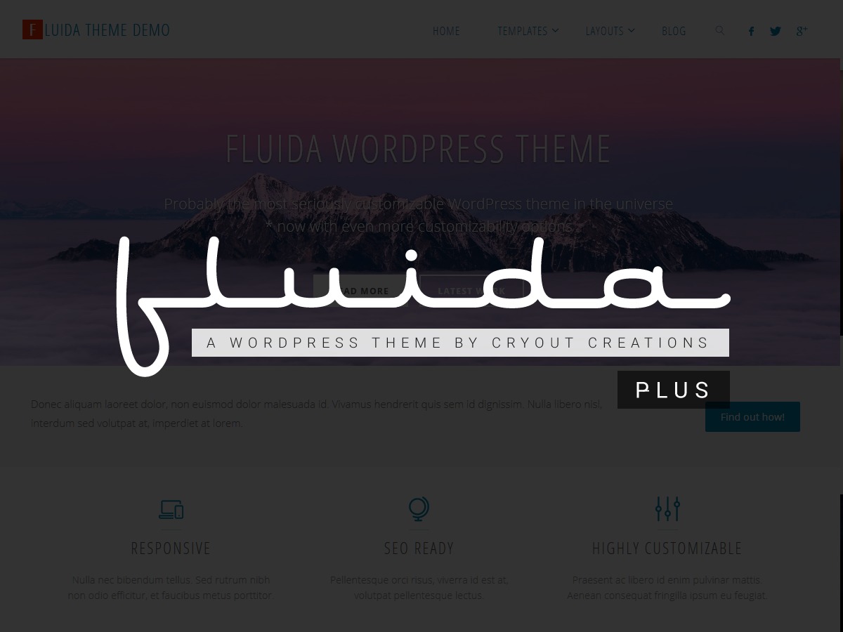 Fluida Plus WordPress gallery theme