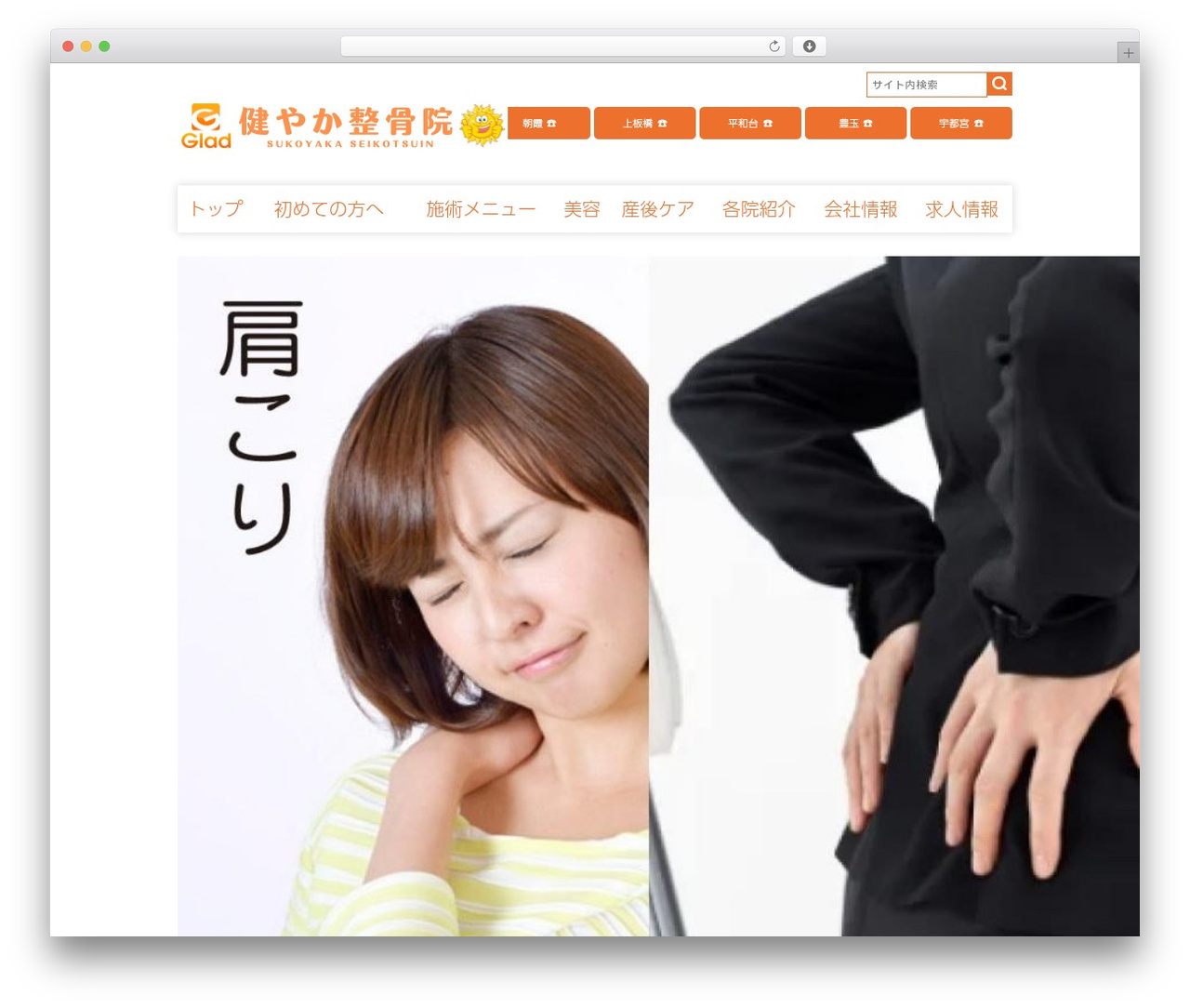 theme top WordPress theme - sukoyaka-seikotsuin.com