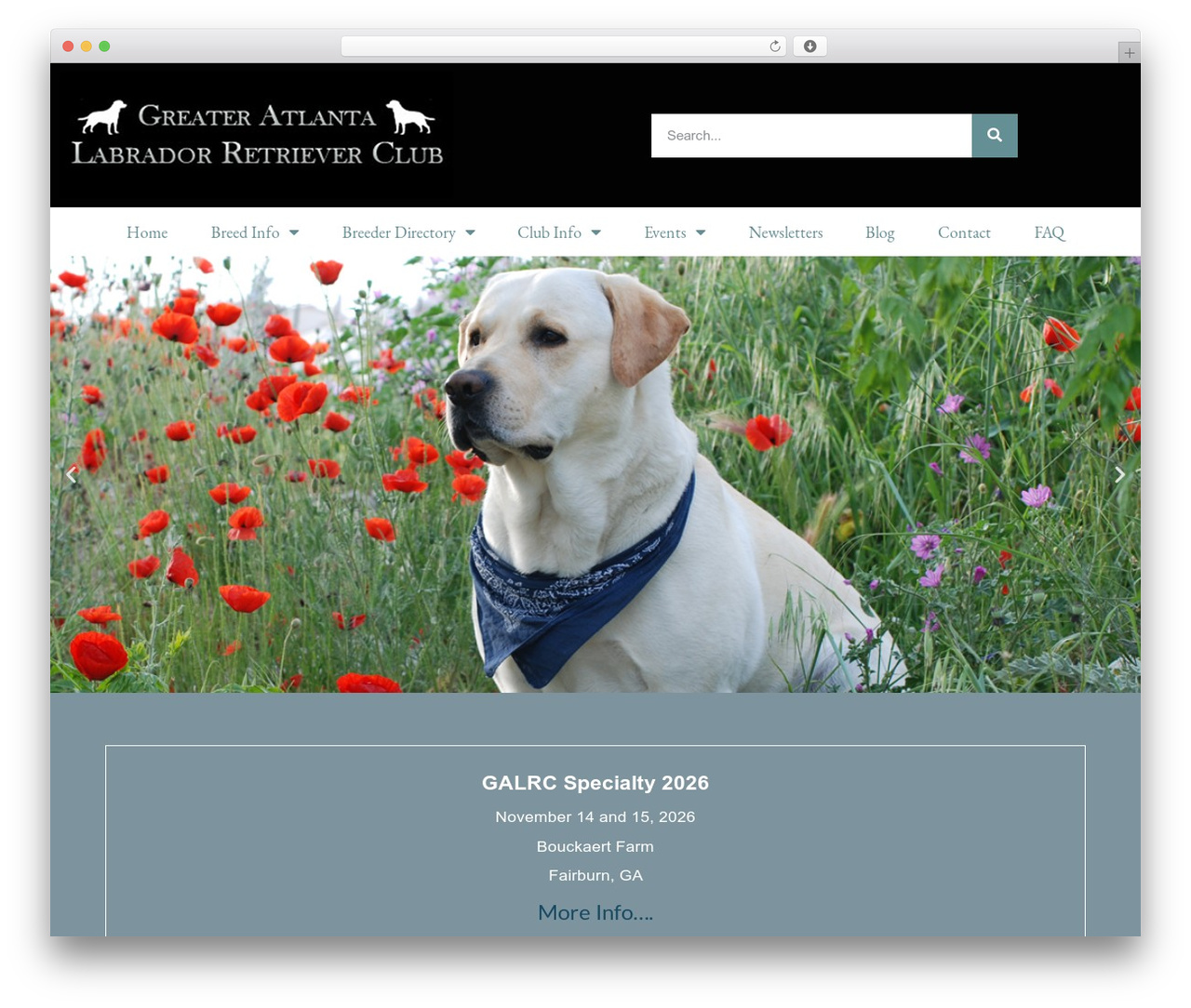 WordPress theme Hello Elementor - galrc.com WordPress theme Hello Elementor - galrc.com