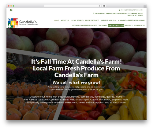 Beacon Theme WordPress theme - candellasfarm.com