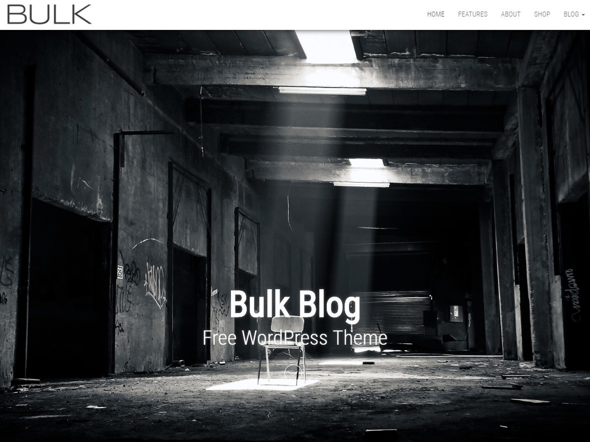 Bulk Blog photography WordPress theme