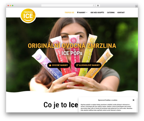 WordPress theme Divi - tropicoiceparty.com