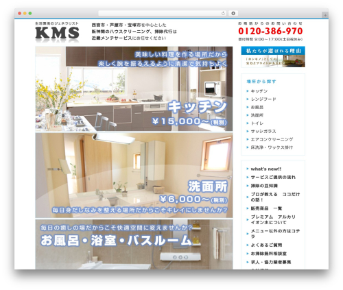 WordPress theme KMS - kms-clean.com