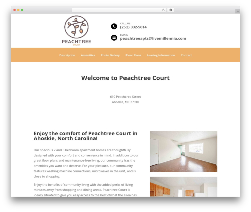 Millennia footer info WordPress plugin - peachtreenc.com
