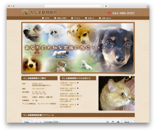 WordPress theme spacecom01 - kashima-ah.jp