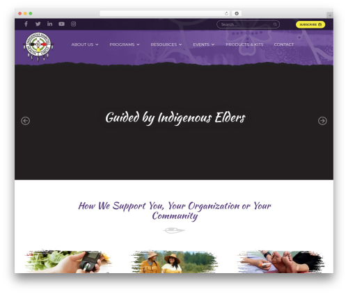 Advanced product quantity WordPress plugin - idhc.life