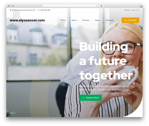 Ajani WordPress theme - alyssanoel.com