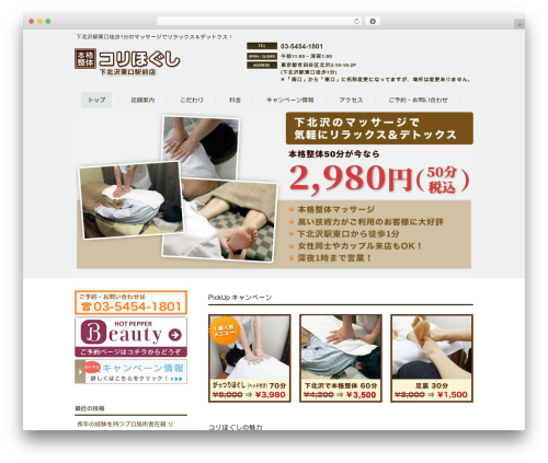 AKN02-0206 WordPress theme - korihogushishimokitazawa.com