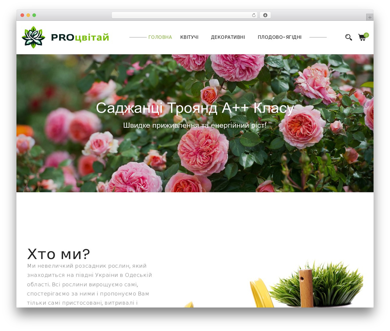 Avanam WordPress theme - protsvitay.com Avanam WordPress theme - protsvitay.com