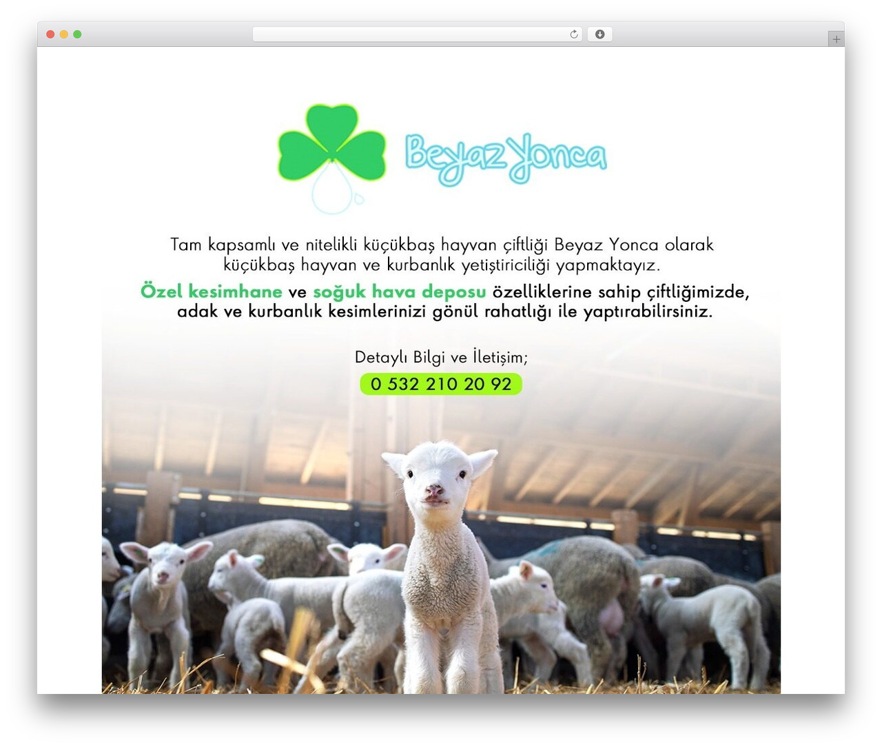 Basic Business WordPress theme - beyazyonca.com