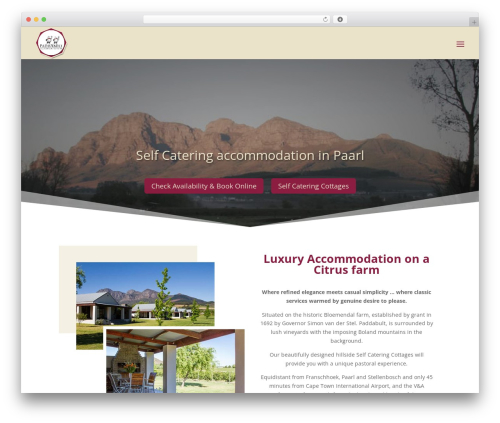 Divi dream tools WordPress plugin - paddabult.com
