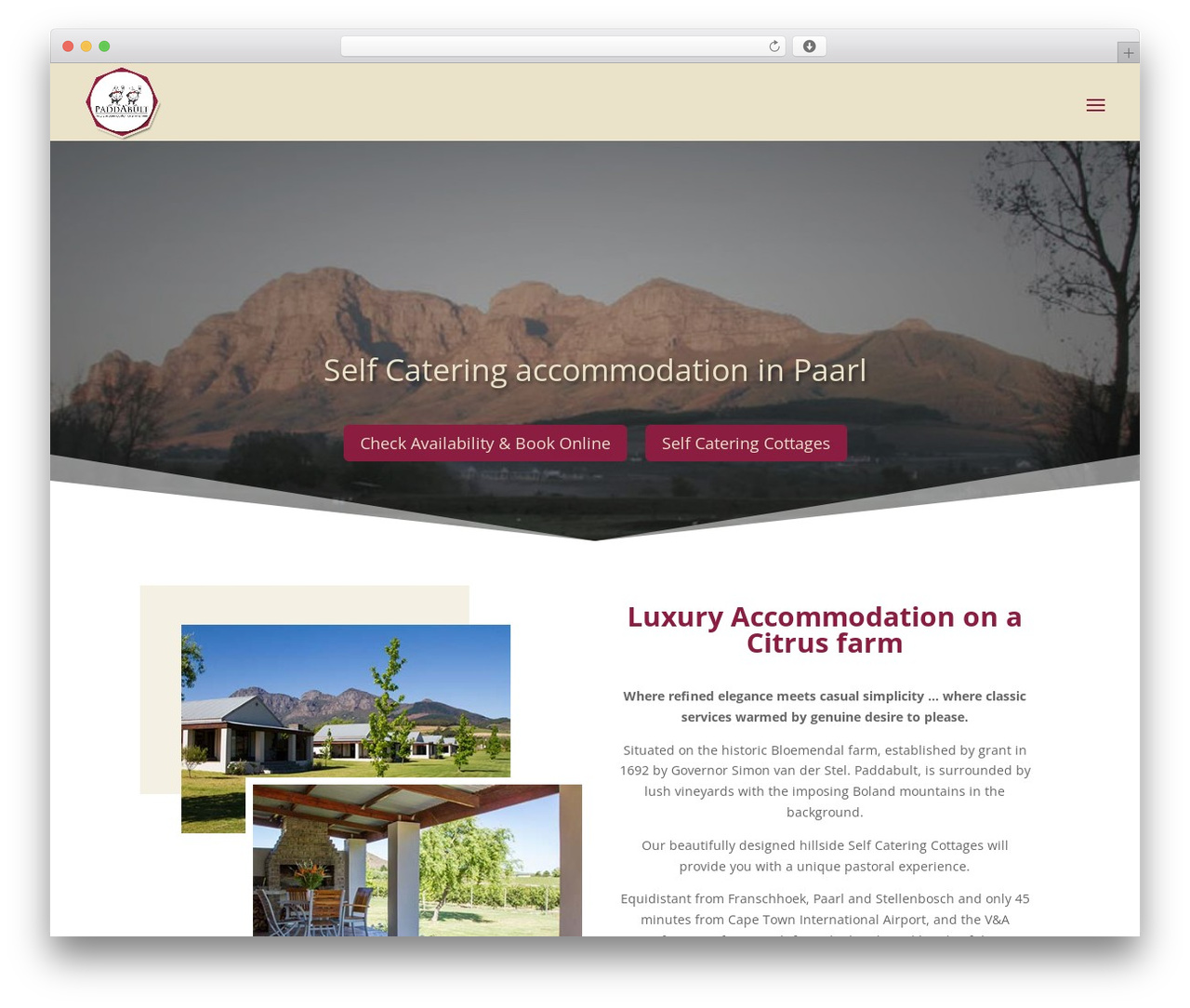 Best WordPress theme Paddabult - paddabult.com