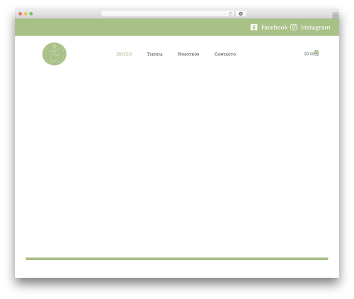 Best WordPress theme thegreen - briosnacks.com