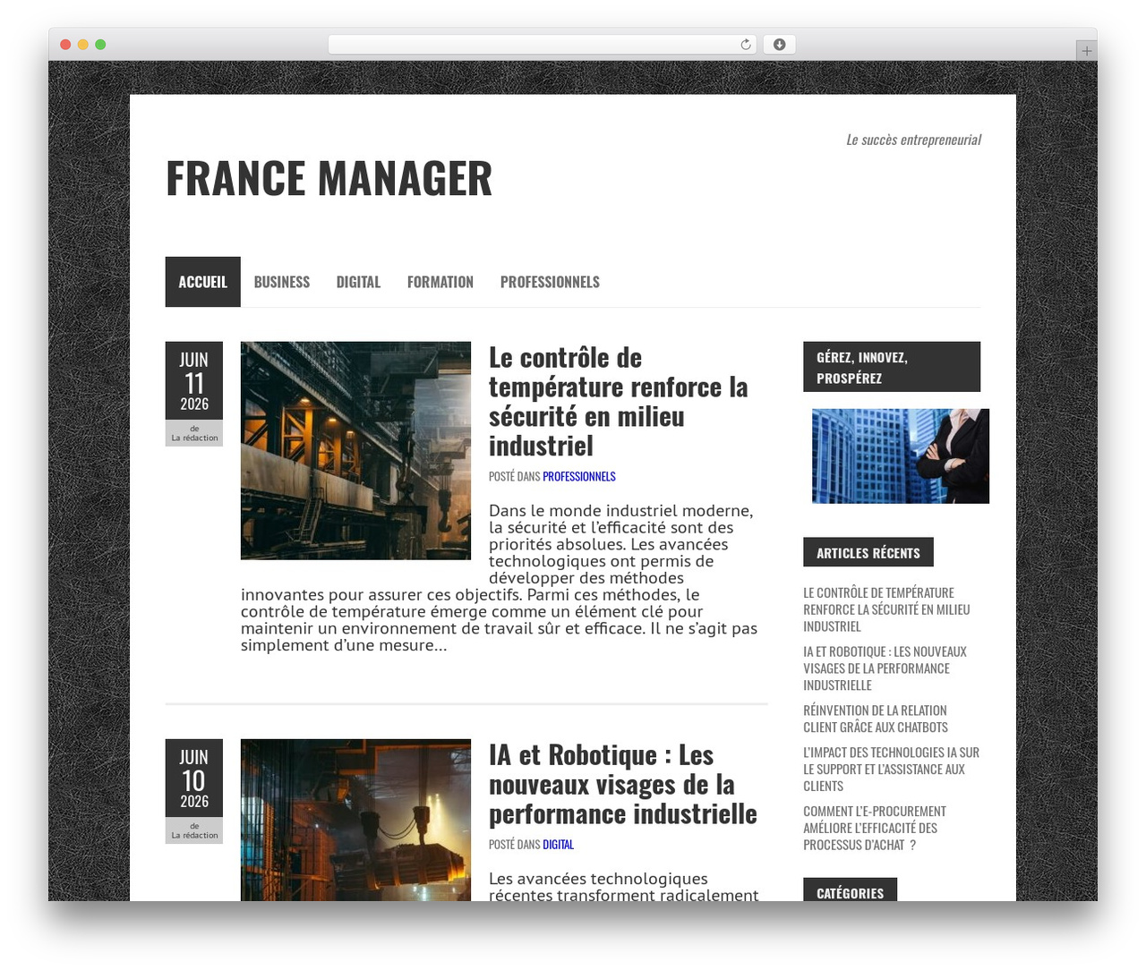 BoldR Lite WordPress theme - francemanager.net