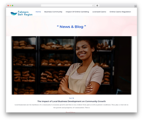 Docent Pro business WordPress theme - fehmarnbeltregion.net
