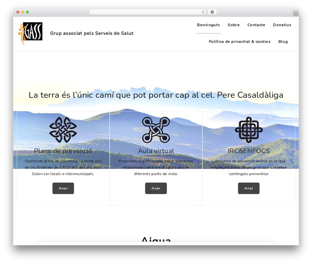 ExS best WordPress theme - gass.cat