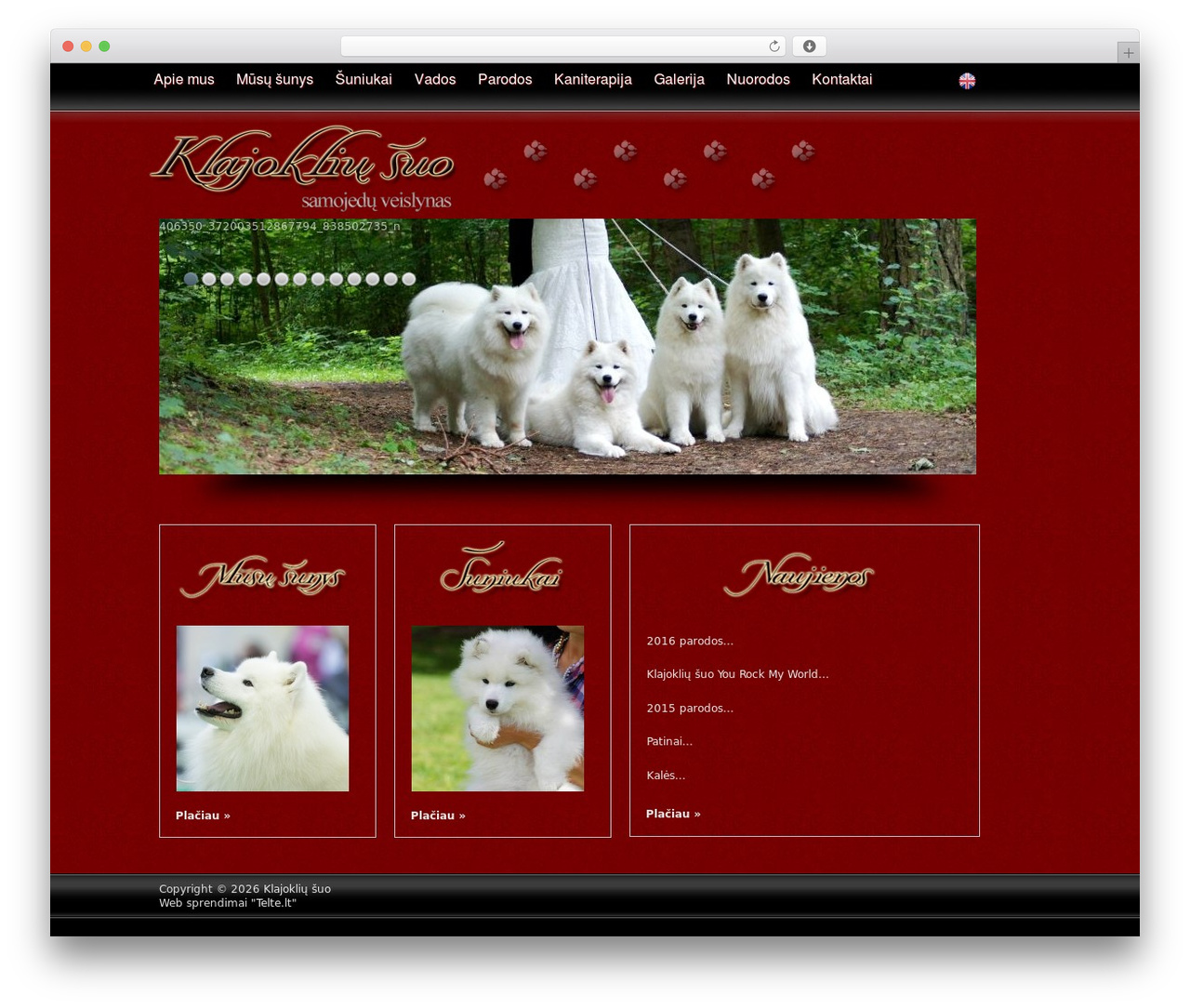 Freedom theme WordPress free - klajokliusuo.lt Freedom theme WordPress free - klajokliusuo.lt