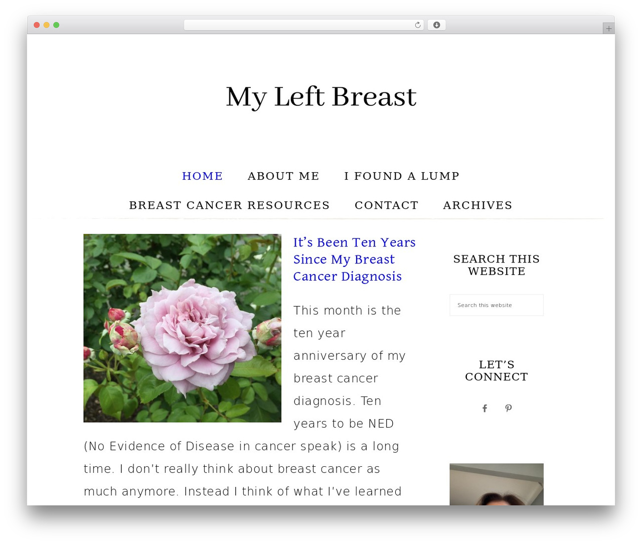 Market Theme WordPress theme - myleftbreast.net Market Theme WordPress theme - myleftbreast.net