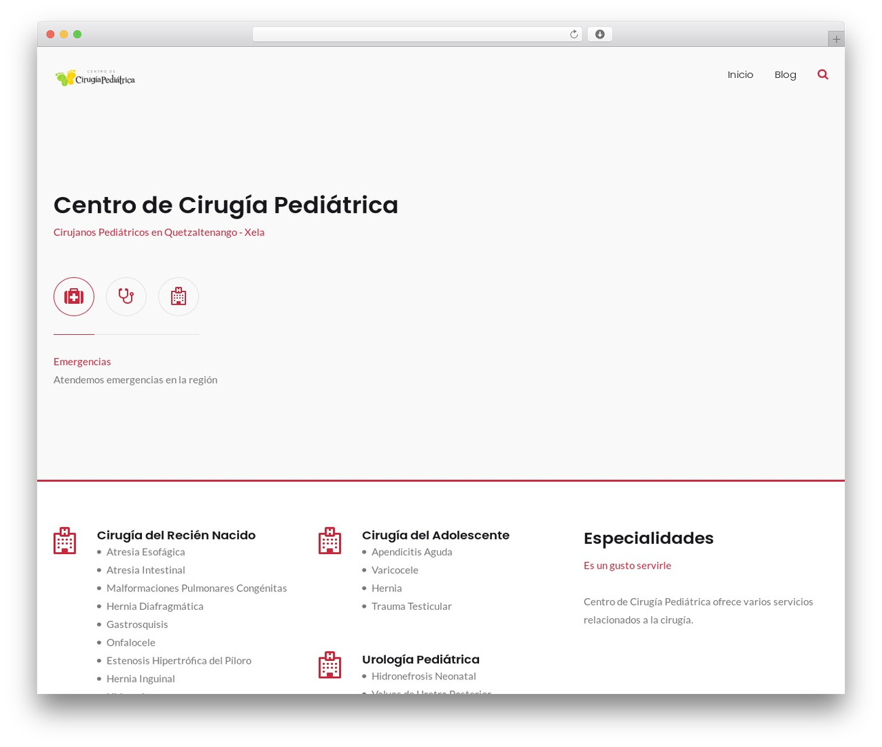 MedZone Lite WordPress theme - centrodecirugiapediatrica.com