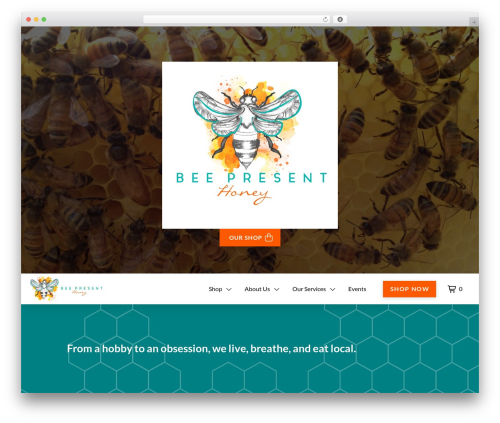 Tco woo checkout editor WordPress plugin - beepresenthoney.com