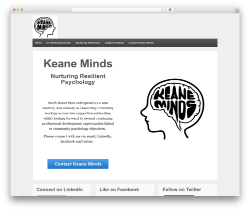 LinkedIn Lite (linkedin-lite) free WordPress plugin - keaneminds.com LinkedIn Lite (linkedin-lite) free WordPress plugin - keaneminds.com