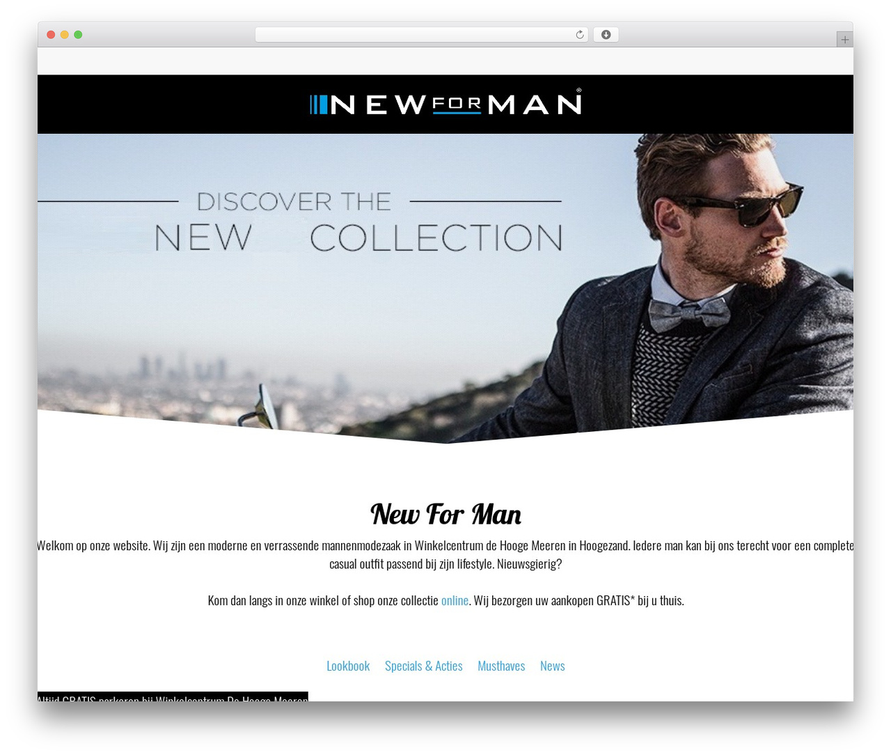 Salient WP theme - newforman.nl