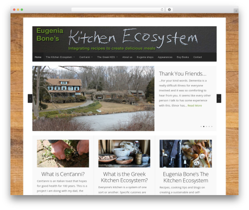 Seed WordPress theme - kitchenecosystem.com