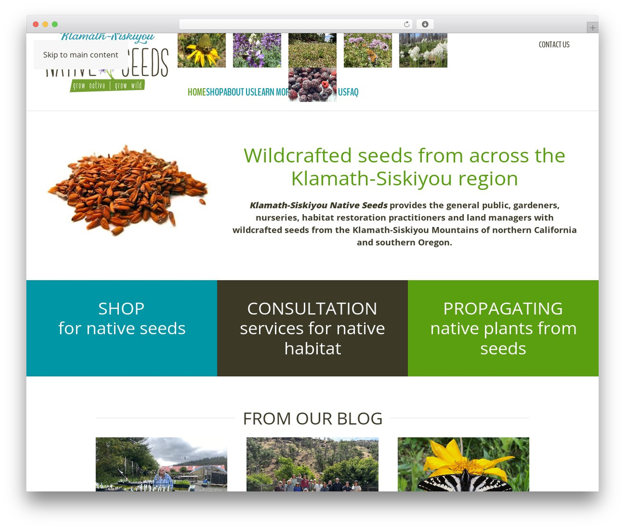 Theme WordPress YOOtheme - klamathsiskiyouseeds.com