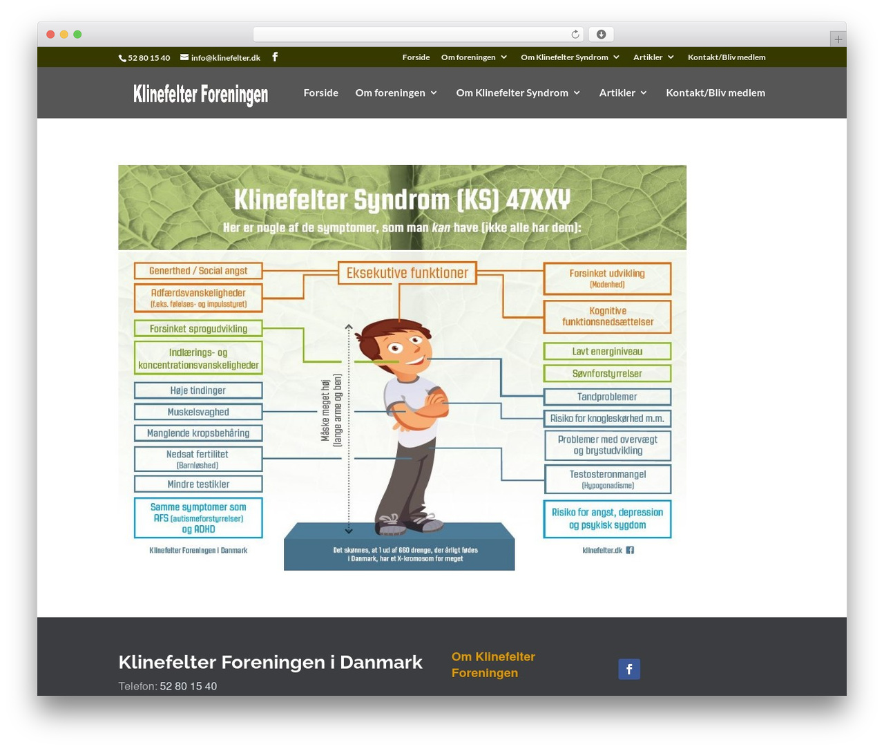 WP theme Divi - klinefelter.dk WP theme Divi - klinefelter.dk