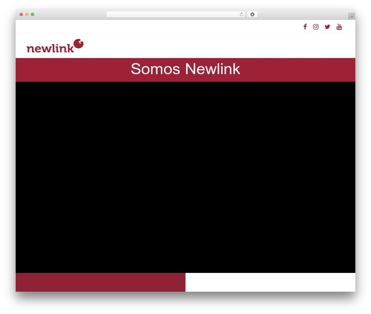 WP theme Nectar - newlink.tv