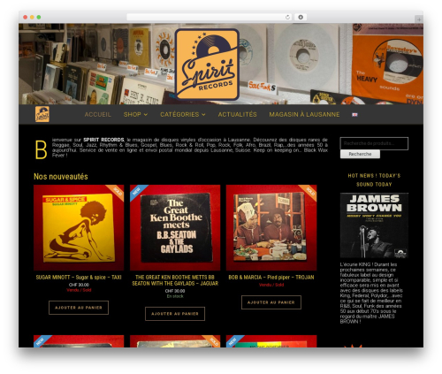 WPAuction software (auction-software) free WordPress plugin - spiritrecords.ch