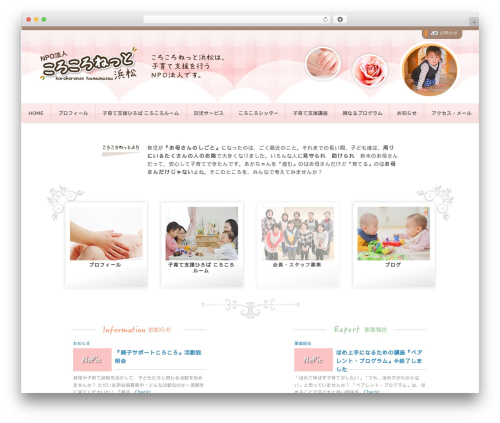 Cript-Koro2net WordPress theme - koro2net.com