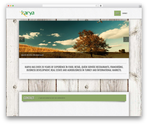 FUZZY WordPress theme - karyagida.com