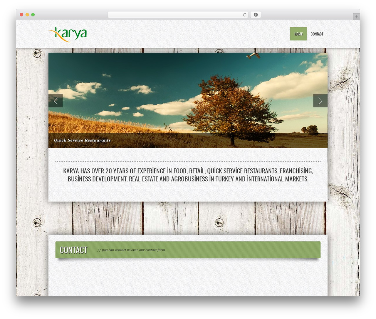 FUZZY WordPress theme - karyagida.com